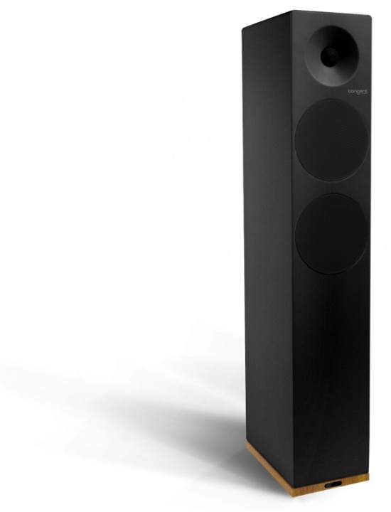 Tangent Spectrum X6 højttaler, sort i gruppen HJEMMEELEKTRONIK / Lyd & billede / Højttalere & tilbehør / Bluetooth-højttalere / Gulvhøjtalere Bluetooth hos TP E-commerce Nordic AB (C20759)