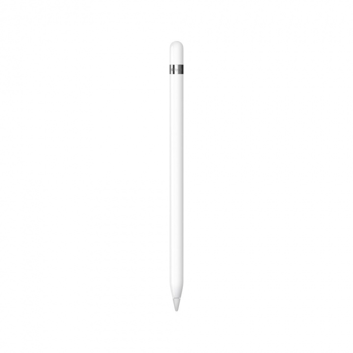 Apple Pencil (1st Generation) i gruppen SMARTPHONES & TABLETS / Øvrigt tilbehør / Andet hos TP E-commerce Nordic AB (C21294)
