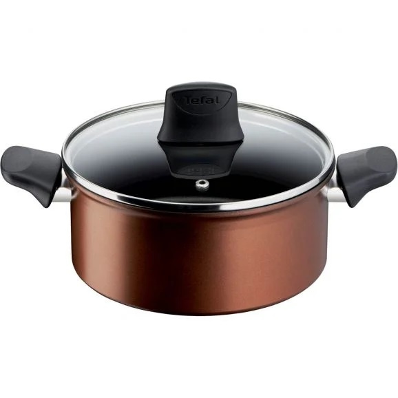 Tefal Kokkärl Resource Stewpot 20 cm + Lid G2534453 Tefal i gruppen HJEM, HUS & HAVE / Køkkenredskaber / Gryder og kasseroller hos TP E-commerce Nordic AB (C21976)