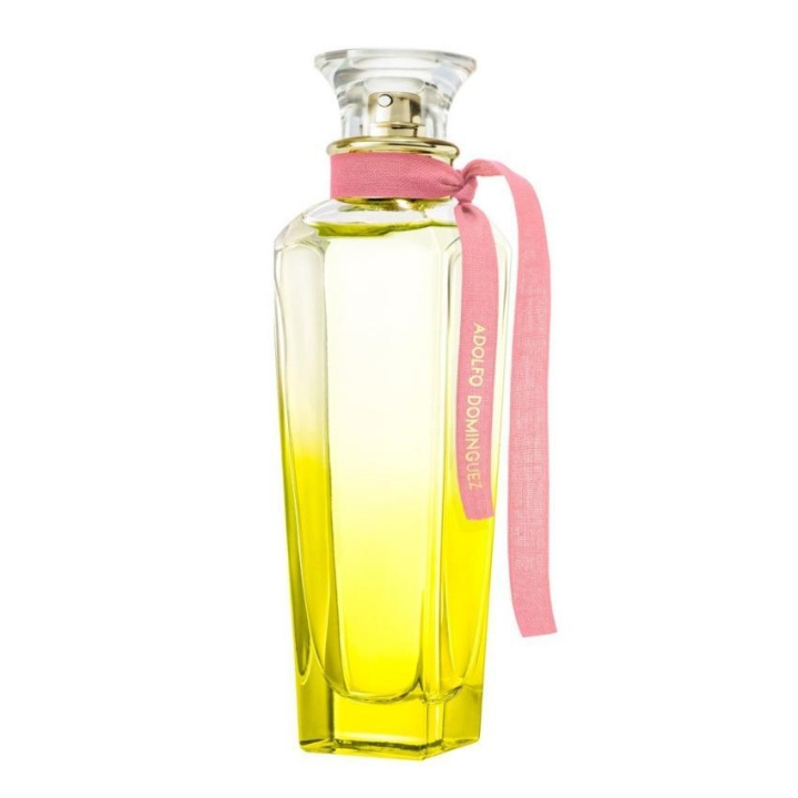 Adolfo Dominguez Agua Fresca Mimosa Coriandro Edt 120ml i gruppen SKØNHED & HELSE / Duft & Parfume / Parfume / Parfume til hende hos TP E-commerce Nordic AB (C22924)