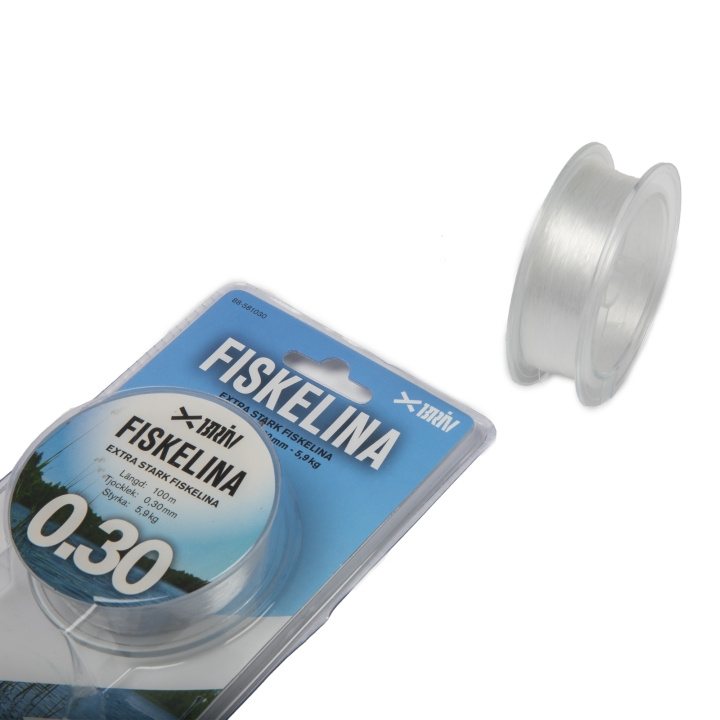 Fiskelina 2x100 m 0,30 mm 5,9 kg, 1/100 i gruppen SPORT, FRITID & HOBBY / Friluftsliv / Fiskeriudstyr hos TP E-commerce Nordic AB (C24157)