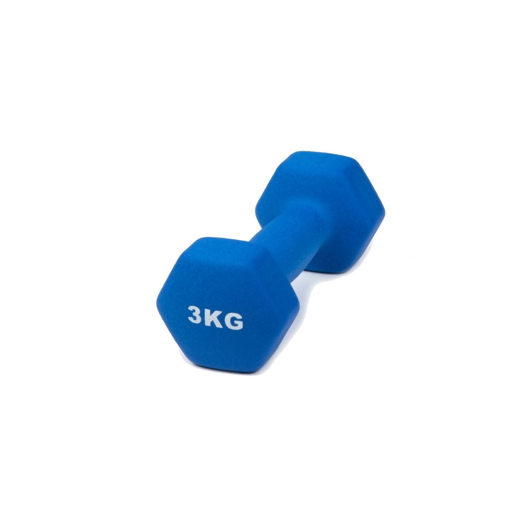 Hantel Neopren 3 kg i gruppen SPORT, FRITID & HOBBY / Træningsredskaber / Træningstilbehør hos TP E-commerce Nordic AB (C24763)