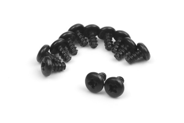 BLACKZON Pan Head Self Tapping Screws 2x4mm i gruppen LEGETØJ, BØRN & BABY / Radiostyrede / Reservedele & Ekstra Tilbehør / Blackzon hos TP E-commerce Nordic AB (C30828)