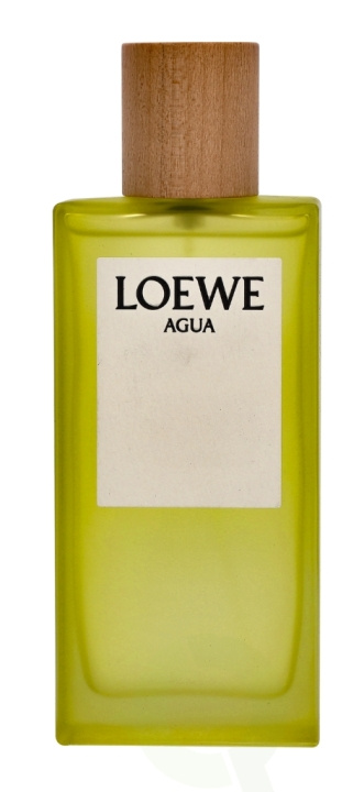 Loewe Agua Edt Spray 100 ml i gruppen SKØNHED & HELSE / Duft & Parfume / Parfume / Parfume til hende hos TP E-commerce Nordic AB (C34076)