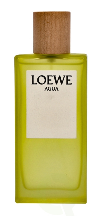 Loewe Agua Edt Spray 100 ml i gruppen SKØNHED & HELSE / Duft & Parfume / Parfume / Parfume til hende hos TP E-commerce Nordic AB (C34076)
