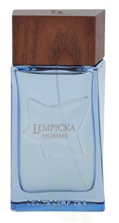 Lolita Lempicka Homme Edt Spray 100 ml i gruppen SKØNHED & HELSE / Duft & Parfume / Parfume / Parfume til ham hos TP E-commerce Nordic AB (C34233)