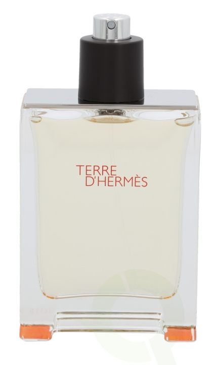 Hermes Terre D\'Hermes Edt Spray 100 ml i gruppen SKØNHED & HELSE / Duft & Parfume / Parfume / Parfume til ham hos TP E-commerce Nordic AB (C34507)