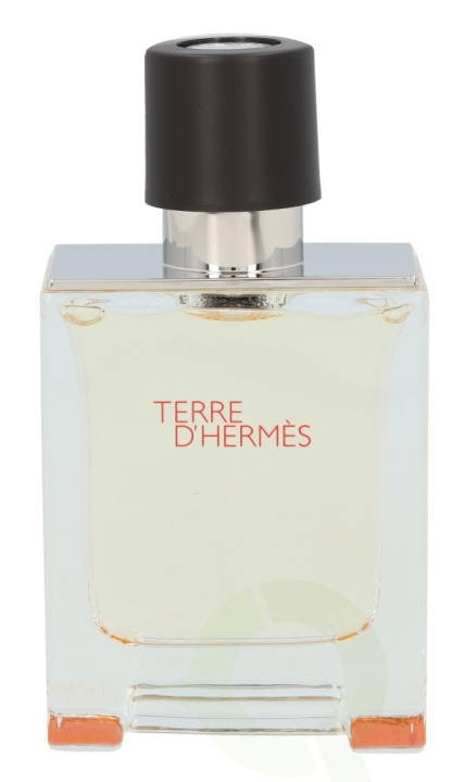 Hermes Terre D\'Hermes Edt Spray 50 ml i gruppen SKØNHED & HELSE / Duft & Parfume / Parfume / Parfume til ham hos TP E-commerce Nordic AB (C34508)
