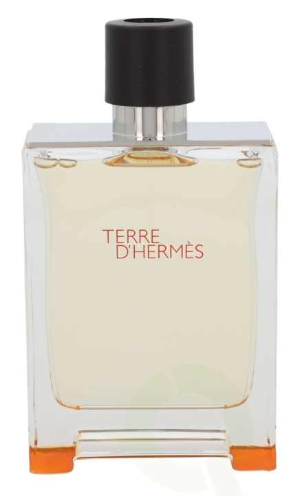 Hermes Terre D\'Hermes Edt Spray 200 ml i gruppen SKØNHED & HELSE / Duft & Parfume / Parfume / Parfume til ham hos TP E-commerce Nordic AB (C34509)