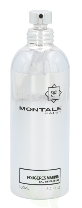 Montale Fougeres Marine Edp Spray 100 ml i gruppen SKØNHED & HELSE / Duft & Parfume / Parfume / Unisex hos TP E-commerce Nordic AB (C35878)