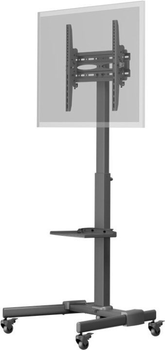 Goobay TV-presentationsställ Basic (storlek L) för TV-apparater eller monitorer mellan 37 och 70 tum (94-178 cm) upp till 35 kg i gruppen HJEMMEELEKTRONIK / Lyd & billede / Tv og tilbehør / Vægbeslag hos TP E-commerce Nordic AB (C44075)