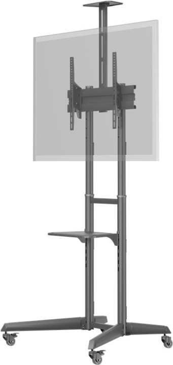 Goobay TV-presentationsstativ Pro (storlek L) för TV-apparater och monitorer mellan 37 och 70 tum (94-178 cm) upp till 50 kg, vinklingsbar i gruppen HJEMMEELEKTRONIK / Lyd & billede / Tv og tilbehør / Vægbeslag hos TP E-commerce Nordic AB (C44076)