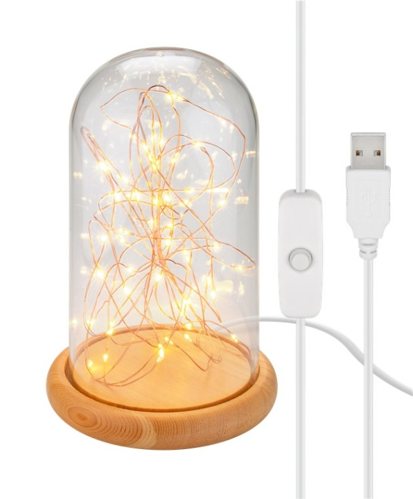 Goobay Glaskupa med mikro LED mikro-ljusslinga med träplatta, 115 cm USB-kabel, 5 m ljuskedja med 50 mikro-LED i varmvitt (2700 K) och strömbrytare (On/Off) i gruppen HJEMMEELEKTRONIK / Lys / Bordlamper hos TP E-commerce Nordic AB (C44094)