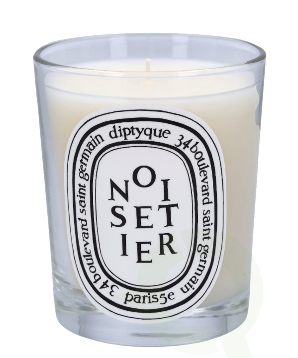 Diptyque Noisetier Scented Candle 190 gr i gruppen SKØNHED & HELSE / Duft & Parfume / Øvrig duft / Duftlys hos TP E-commerce Nordic AB (C44865)