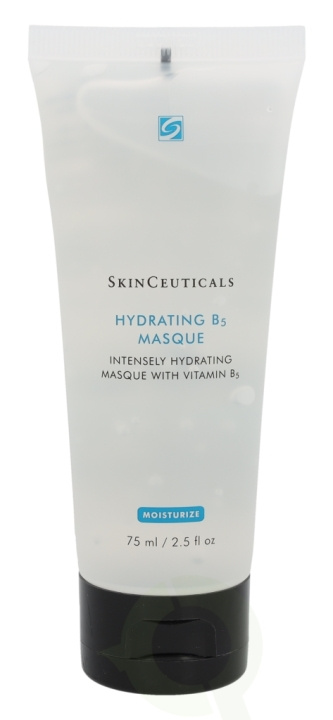SkinCeuticals Hydrating B5 Masque 75 ml For All Skin Types i gruppen SKØNHED & HELSE / Hudpleje / Ansigt / Masker hos TP E-commerce Nordic AB (C55662)