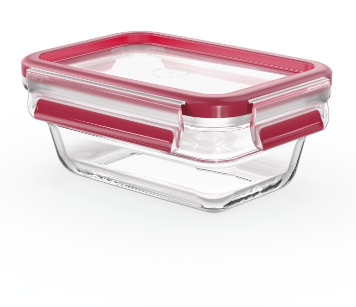 Tefal MasterSeal Glasförvaringslåda, glas, 0,45 L i gruppen HJEM, HUS & HAVE / Køkkenredskaber / Madkasser & Madbeholder hos TP E-commerce Nordic AB (C58184)