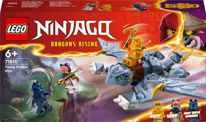 LEGO Ninjago 71810 - Little Dragon Riyu i gruppen LEGETØJ, BØRN & BABY / Legetøj / Bygge legesager / Lego hos TP E-commerce Nordic AB (C58537)