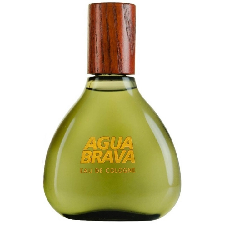 Antonio Puig Puig Agua Brava Edc 100ml i gruppen SKØNHED & HELSE / Duft & Parfume / Parfume / Parfume til ham hos TP E-commerce Nordic AB (C60585)