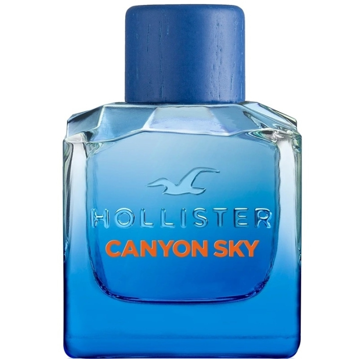 Hollister Canyon Sky For Him Edt 100ml i gruppen SKØNHED & HELSE / Duft & Parfume / Parfume / Parfume til ham hos TP E-commerce Nordic AB (C62239)
