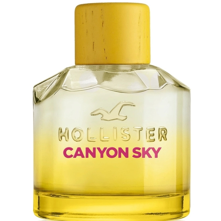 Hollister Canyon Sky For Her Edp 100ml i gruppen SKØNHED & HELSE / Duft & Parfume / Parfume / Parfume til hende hos TP E-commerce Nordic AB (C62242)