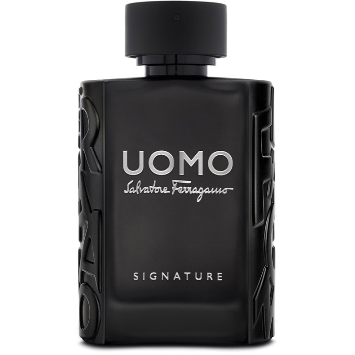 Salvatore Ferragamo Uomo Signature Edp 100ml i gruppen SKØNHED & HELSE / Duft & Parfume / Parfume / Parfume til ham hos TP E-commerce Nordic AB (C62245)