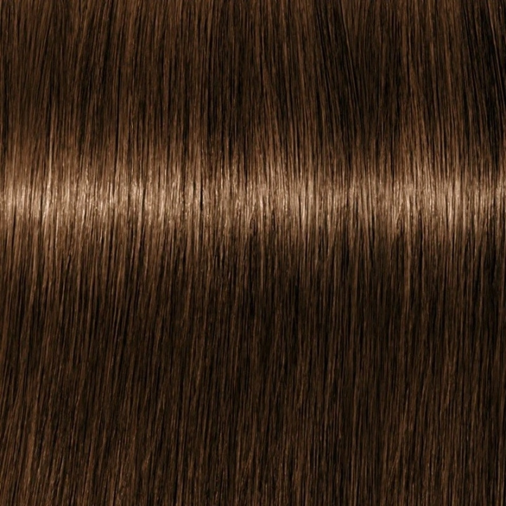 Schwarzkopf Professional Igora Vibrance Kit 5-5 Light Brown Gold i gruppen SKØNHED & HELSE / Hår og styling / Hårpleje / Hårfarve / Hårfarve & Farve bombe hos TP E-commerce Nordic AB (C62320)