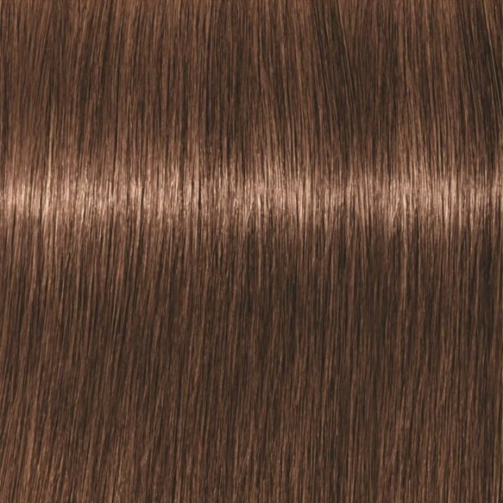 Schwarzkopf Professional Igora Vibrance Kit 6-6 Dark Blonde Chocolate i gruppen SKØNHED & HELSE / Hår og styling / Hårpleje / Hårfarve / Hårfarve & Farve bombe hos TP E-commerce Nordic AB (C62326)