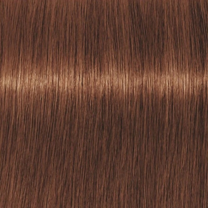 Schwarzkopf Professional Igora Vibrance Kit 5-67 Light Brown Chocolate Copper i gruppen SKØNHED & HELSE / Hår og styling / Hårpleje / Hårfarve / Hårfarve & Farve bombe hos TP E-commerce Nordic AB (C62327)