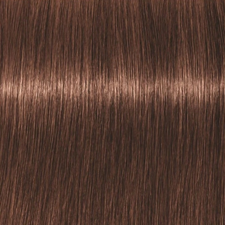 Schwarzkopf Professional Igora Vibrance Kit 6-68 Dark Blonde Chocolate Red i gruppen SKØNHED & HELSE / Hår og styling / Hårpleje / Hårfarve / Hårfarve & Farve bombe hos TP E-commerce Nordic AB (C62328)