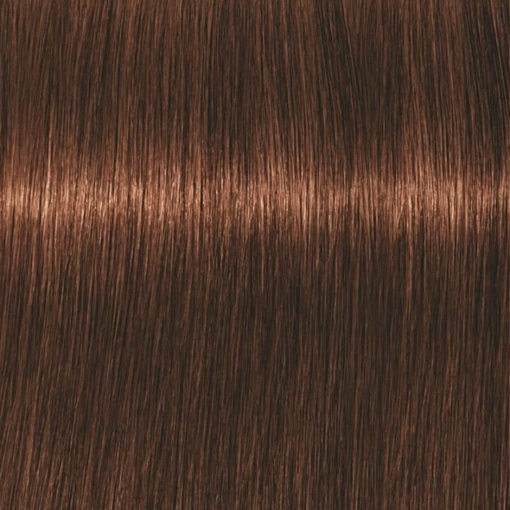 Schwarzkopf Professional Igora Vibrance Kit 5-7 Light Brown Copper i gruppen SKØNHED & HELSE / Hår og styling / Hårpleje / Hårfarve / Hårfarve & Farve bombe hos TP E-commerce Nordic AB (C62333)