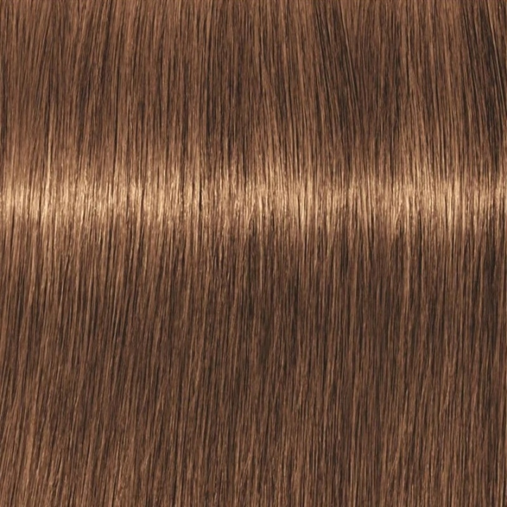 Schwarzkopf Professional Igora Vibrance Kit 7-55 Medium Blonde Gold Extra i gruppen SKØNHED & HELSE / Hår og styling / Hårpleje / Hårfarve / Hårfarve & Farve bombe hos TP E-commerce Nordic AB (C62336)