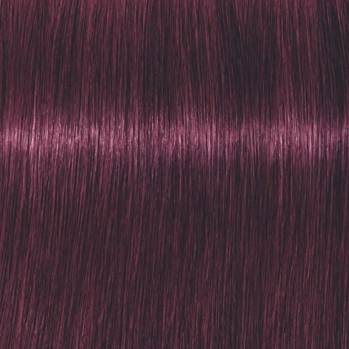 Schwarzkopf Professional Igora Vibrance Kit 6-99 Dark Blonde Violet Extra i gruppen SKØNHED & HELSE / Hår og styling / Hårpleje / Hårfarve / Hårfarve & Farve bombe hos TP E-commerce Nordic AB (C62337)