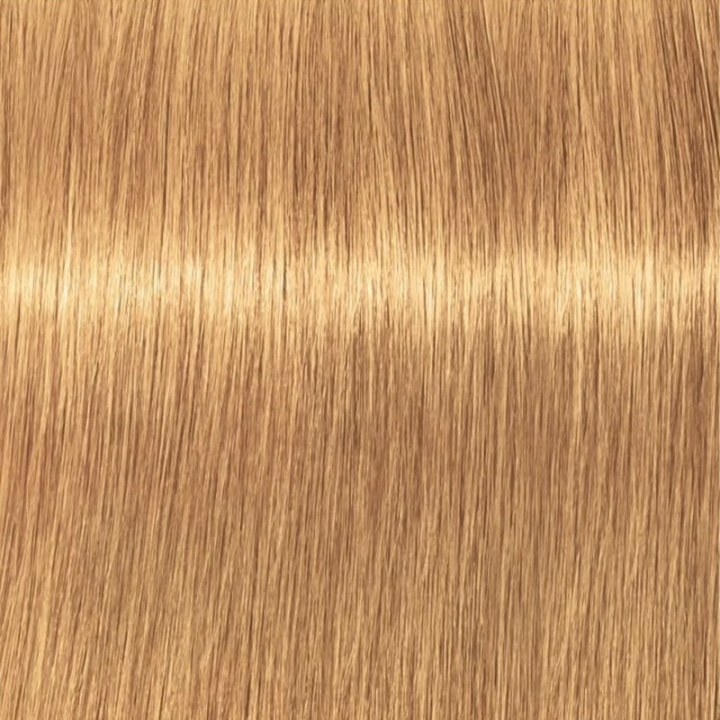 Schwarzkopf Professional Igora Vibrance Kit 9-55 Extra Light Blonde Gold Extra i gruppen SKØNHED & HELSE / Hår og styling / Hårpleje / Hårfarve / Hårfarve & Farve bombe hos TP E-commerce Nordic AB (C62347)