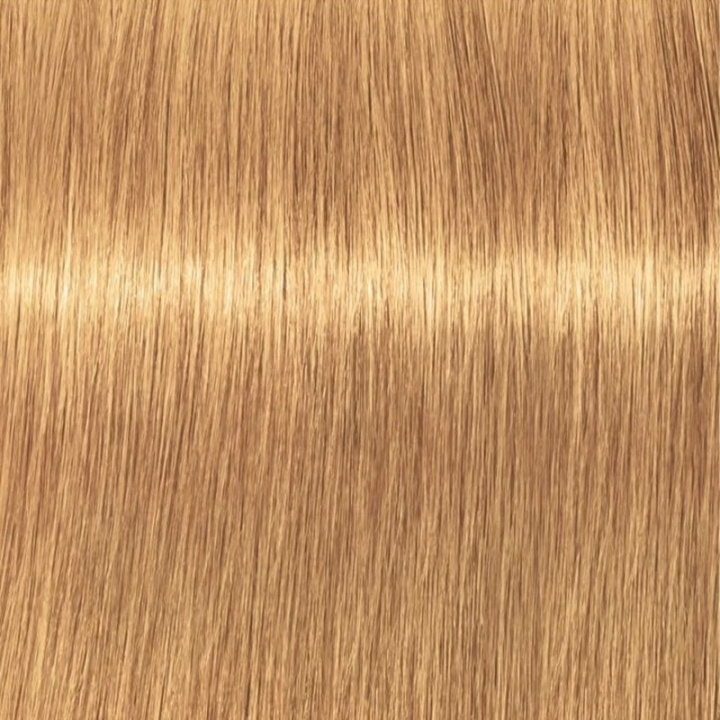 Schwarzkopf Professional Igora Vibrance Kit 9-55 Extra Light Blonde Gold Extra i gruppen SKØNHED & HELSE / Hår og styling / Hårpleje / Hårfarve / Hårfarve & Farve bombe hos TP E-commerce Nordic AB (C62347)
