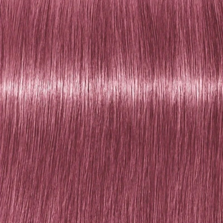 Schwarzkopf Professional Igora Vibrance Kit 9.5-98 Violet Red Toner i gruppen SKØNHED & HELSE / Hår og styling / Hårpleje / Hårfarve / Hårfarve & Farve bombe hos TP E-commerce Nordic AB (C62363)