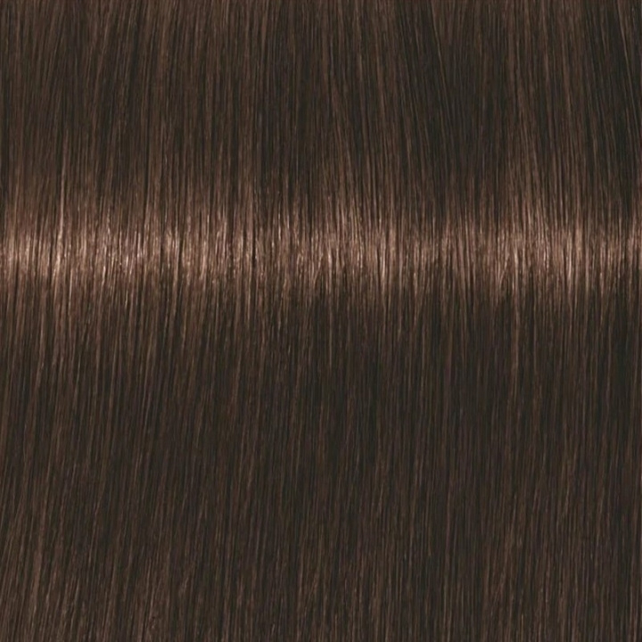 Schwarzkopf Professional Igora Vibrance Kit 4-6 Medium Brown Chocolate i gruppen SKØNHED & HELSE / Hår og styling / Hårpleje / Hårfarve / Hårfarve & Farve bombe hos TP E-commerce Nordic AB (C62368)