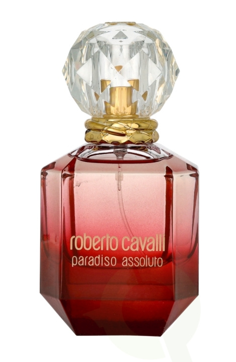 Roberto Cavalli Paradiso Assoluto Edp Spray 50 ml i gruppen SKØNHED & HELSE / Duft & Parfume / Parfume / Parfume til hende hos TP E-commerce Nordic AB (C65468)