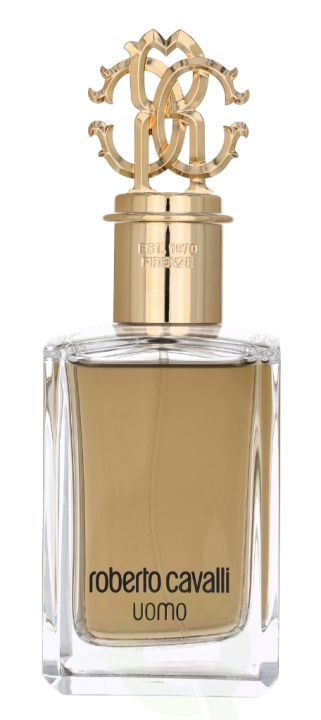 Roberto Cavalli Uomo Edt Spray 100 ml i gruppen SKØNHED & HELSE / Duft & Parfume / Parfume / Parfume til ham hos TP E-commerce Nordic AB (C78846)