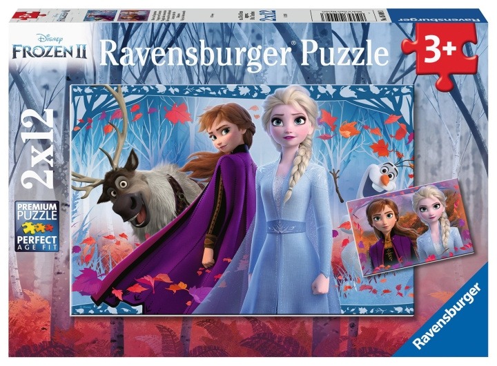 Ravensburger Frozen 2 Journey Into The Unknown 2x12p - 05009 i gruppen LEGETØJ, BØRN & BABY / Legetøj / børns puslespil hos TP E-commerce Nordic AB (C85765)