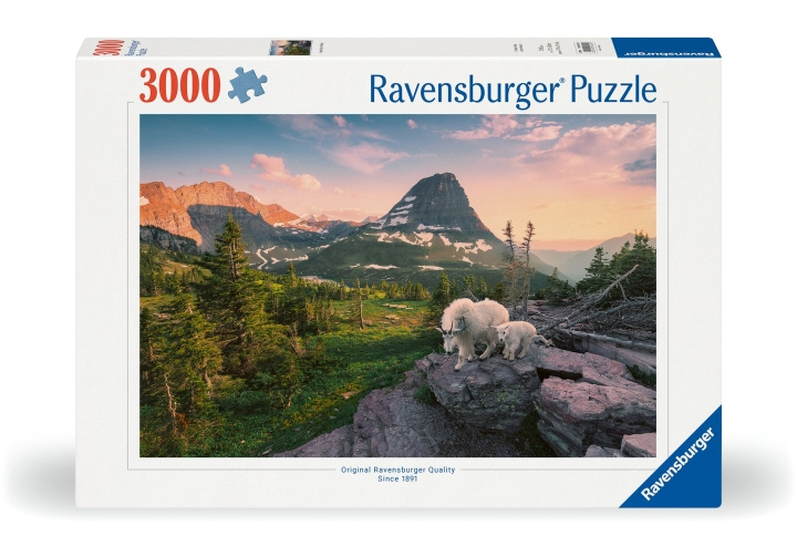 Ravensburger Puslespil Foto City Landscape 3000p (12000809) i gruppen SPORT, FRITID & HOBBY / Hobby / Puslespil hos TP E-commerce Nordic AB (C86133)