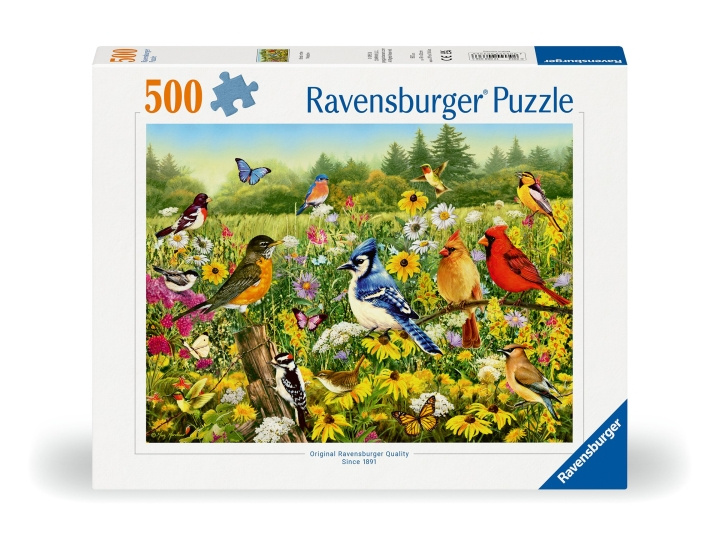 Ravensburger Puzzle Birds in the Meadow 500p (12000336) i gruppen SPORT, FRITID & HOBBY / Hobby / Puslespil hos TP E-commerce Nordic AB (C86444)