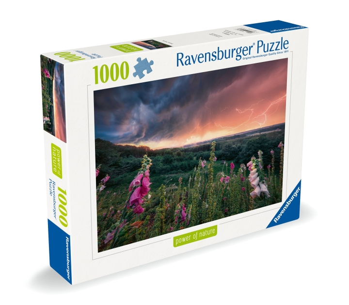 Ravensburger Puslespil Dreamy Thunder 1000p (12000793) i gruppen SPORT, FRITID & HOBBY / Hobby / Puslespil hos TP E-commerce Nordic AB (C86531)