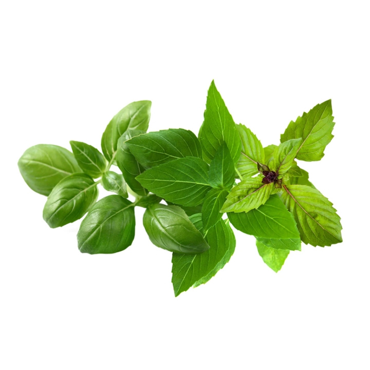 Click & Grow - Smart Garden Refill 9-pak Basil Variety Mix i gruppen SPORT, FRITID & HOBBY / Sjove gadgets / Smarte løsninger hos TP E-commerce Nordic AB (C94640)
