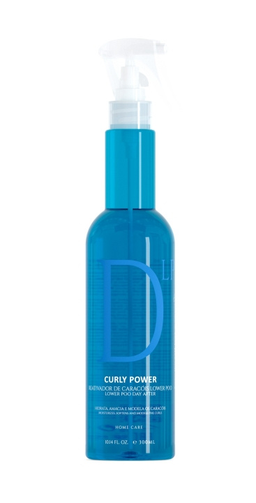 EVAN Curly Power Day After Curl Reactivator Lower Poo Spray 300 ml i gruppen SKØNHED & HELSE / Hår og styling / Hår styling / Styling creme hos TP E-commerce Nordic AB (C96701)