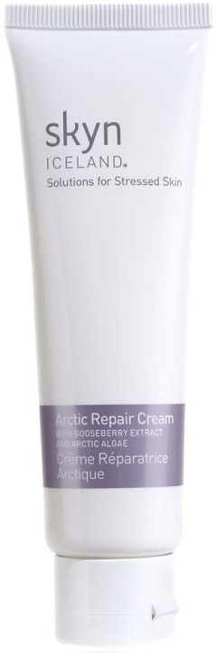 SKYN ICELAND Arctic Repair Cream 59 ml i gruppen SKØNHED & HELSE / Hudpleje / Ansigt / Dagcreme hos TP E-commerce Nordic AB (D04242)