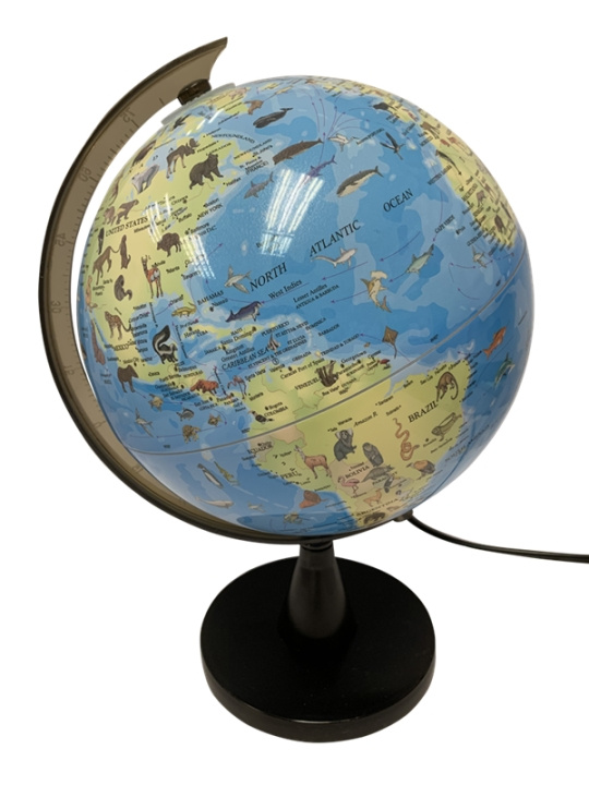 SCIENCE Globus med dyr og lys 20 cm (TY6190) i gruppen SPORT, FRITID & HOBBY / Sjove gadgets / Sjove gadgets hos TP E-commerce Nordic AB (D07263)
