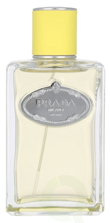 Prada Infusion D\'Ylang Edp Spray 100 ml i gruppen SKØNHED & HELSE / Duft & Parfume / Parfume / Parfume til hende hos TP E-commerce Nordic AB (D09488)