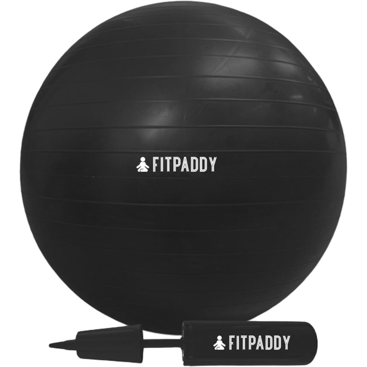 Fitpaddy Gym Ball 65 cm i gruppen SPORT, FRITID & HOBBY / Træningsredskaber / Træningstilbehør hos TP E-commerce Nordic AB (D11517)