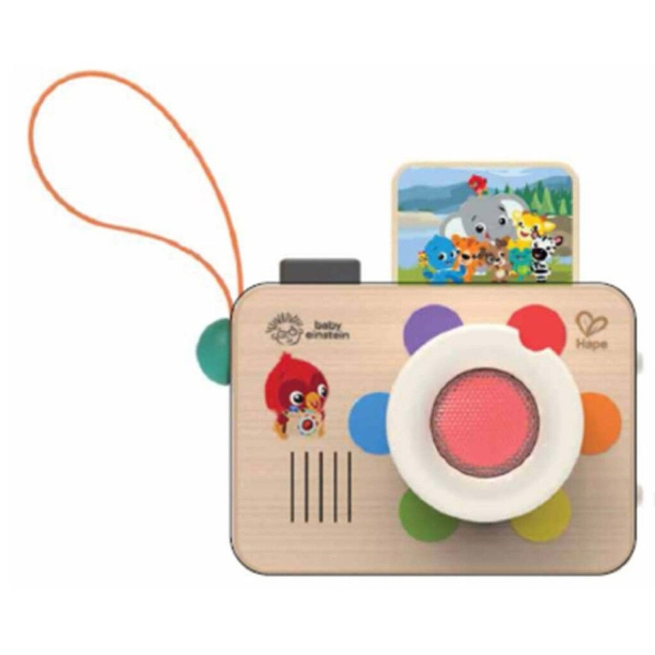 Hape Farvekamera (87-800920) i gruppen LEGETØJ, BØRN & BABY / Legetøj / Legetøj hos TP E-commerce Nordic AB (D13852)