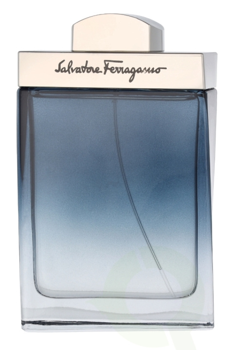 Ferragamo Subtil Pour Homme Edt Spray 100 ml i gruppen SKØNHED & HELSE / Duft & Parfume / Parfume / Parfume til ham hos TP E-commerce Nordic AB (D14837)